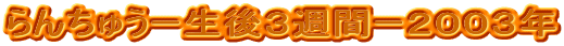 RTԂ̃S